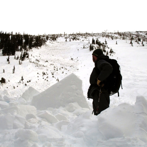 Looking up Trap Park Avalanche Debris